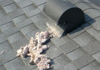 Dryer Vent Cleaning & Inspection